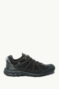 Полуботинки мужские Jack Wolfskin WOODLAND 2 TEXAPORE LOW M черные 4051271-6000 изображение 2