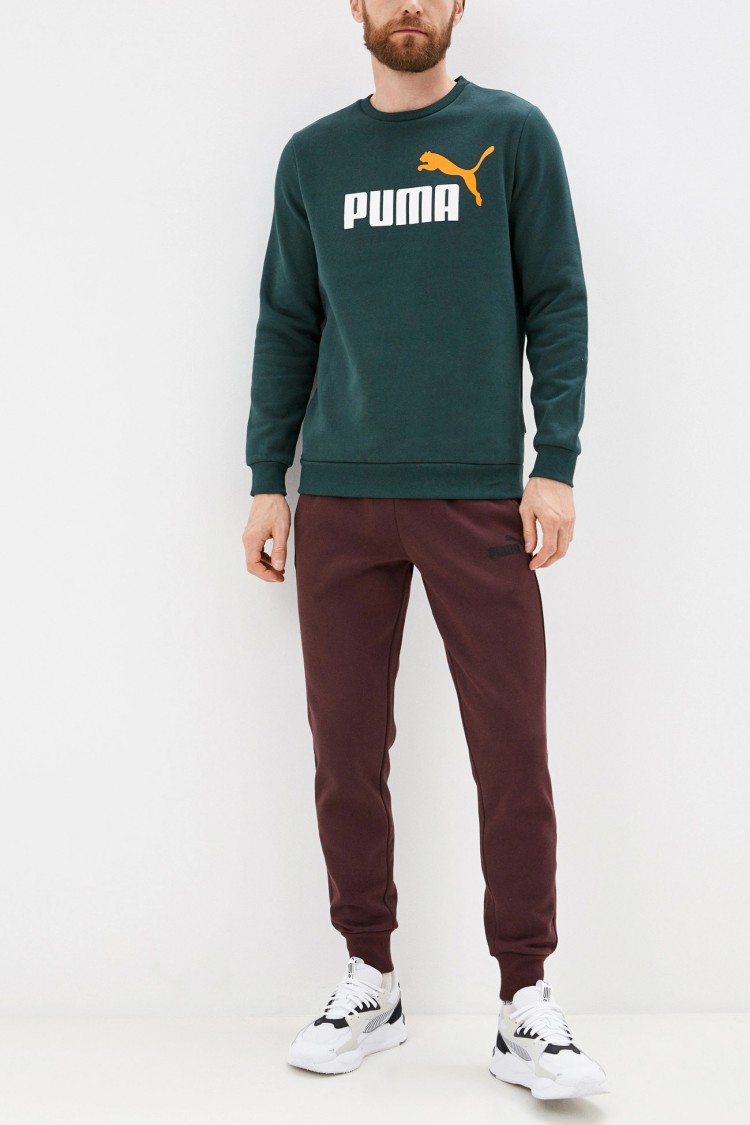 Толстовка чоловіча ESS+ 2 Col Big Logo Crew Puma зелена 58676280  изображение 4