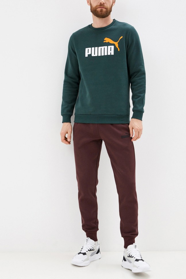 Толстовка чоловіча ESS+ 2 Col Big Logo Crew Puma зелена 58676280  изображение 4