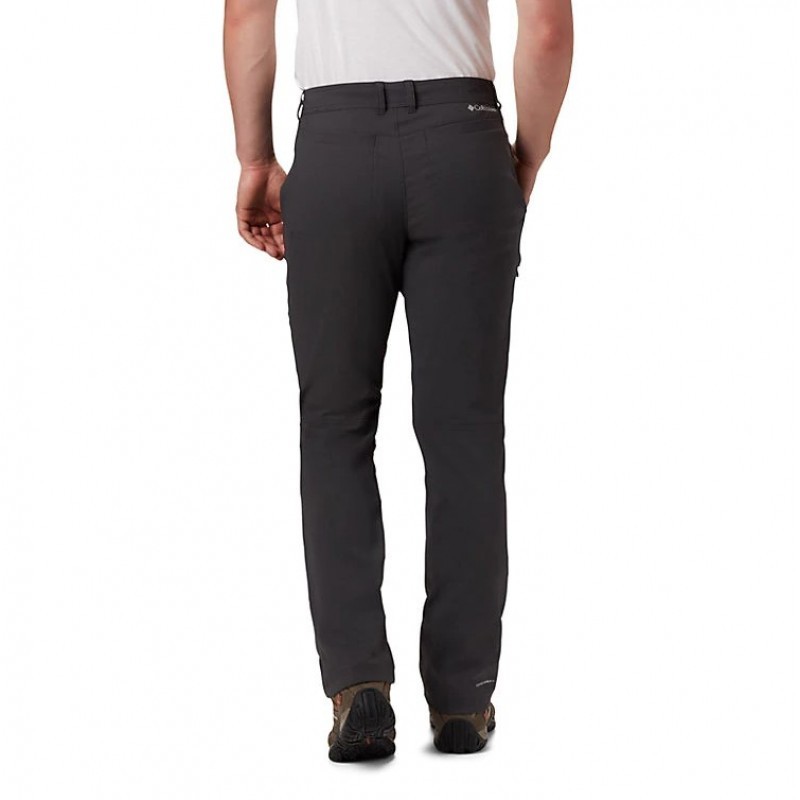 Брюки мужские Columbia Royce Peak серые 1863501-011 изображение 3