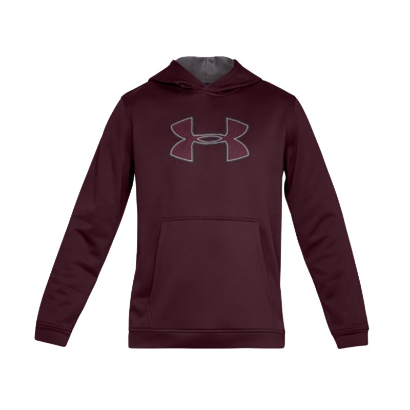 Толстовка мужская Under Armour PERFORMANCE FLEECE GRAPHIC бордовая 1329743-600 изображение 1