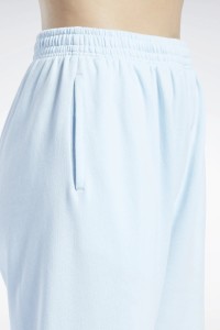 Брюки женские Reebok Cl Pf Sm Logo Ft Pa голубые H49251 изображение 5