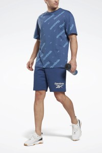 Футболка мужская Reebok Ri Aop Tee голубая HB2146 изображение 2