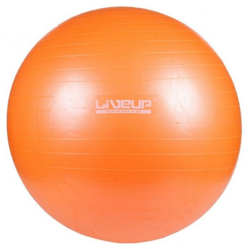 Фитбол насос в комплекте LiveUp LS3222-65o  изображение 1