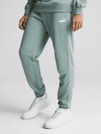 Брюки мужские Puma PUMA SPORT Sweatpants зеленые 68462130 изображение 2