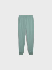 Брюки мужские Puma PUMA SPORT Sweatpants зеленые 68462130 изображение 8