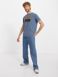 Футболка мужская Radder Kenny голубая 442330-490 изображение 3