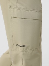 Штани чоловічі Larum Darcy бежеві 162502-125 изображение 5