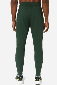Брюки мужские Asics ASICS BIG LOGO SWEAT PANT зеленые 2031A977-300 изображение 3