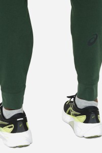 Брюки мужские Asics ASICS BIG LOGO SWEAT PANT зеленые 2031A977-300 изображение 5