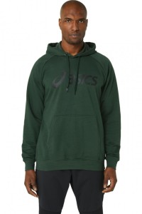 Толстовка чоловіча Asics BIG ASICS OTH HOODIE зелена 2031A984-301 изображение 2