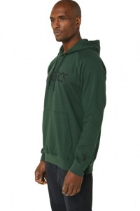 Толстовка чоловіча Asics BIG ASICS OTH HOODIE зелена 2031A984-301 изображение 3