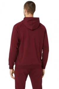 Толстовка чоловіча Asics BIG ASICS OTH HOODIE червона 2031A984-603 изображение 3
