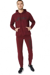 Толстовка чоловіча Asics BIG ASICS OTH HOODIE червона 2031A984-603 изображение 4