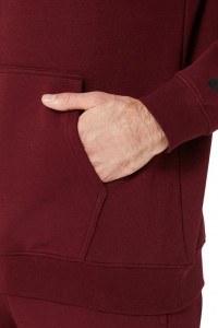 Толстовка чоловіча Asics BIG ASICS OTH HOODIE червона 2031A984-603 изображение 6