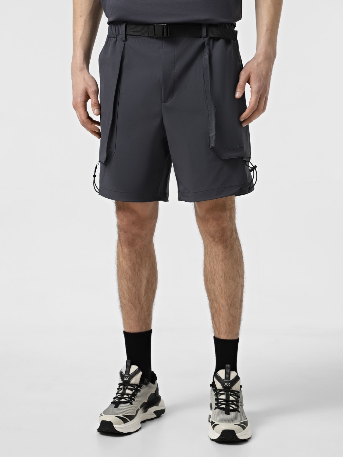 Шорты мужские Larum Everett темно-серые 172521-020 изображение 2