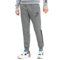 Брюки мужские Puma Amplified Pants Fl Cl серые 58352503 изображение 2