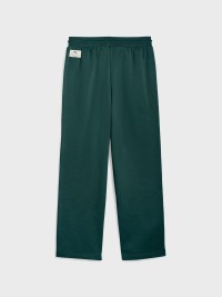 Штани чоловічі Puma CLASS Sweatpants зелені 68821575 изображение 6