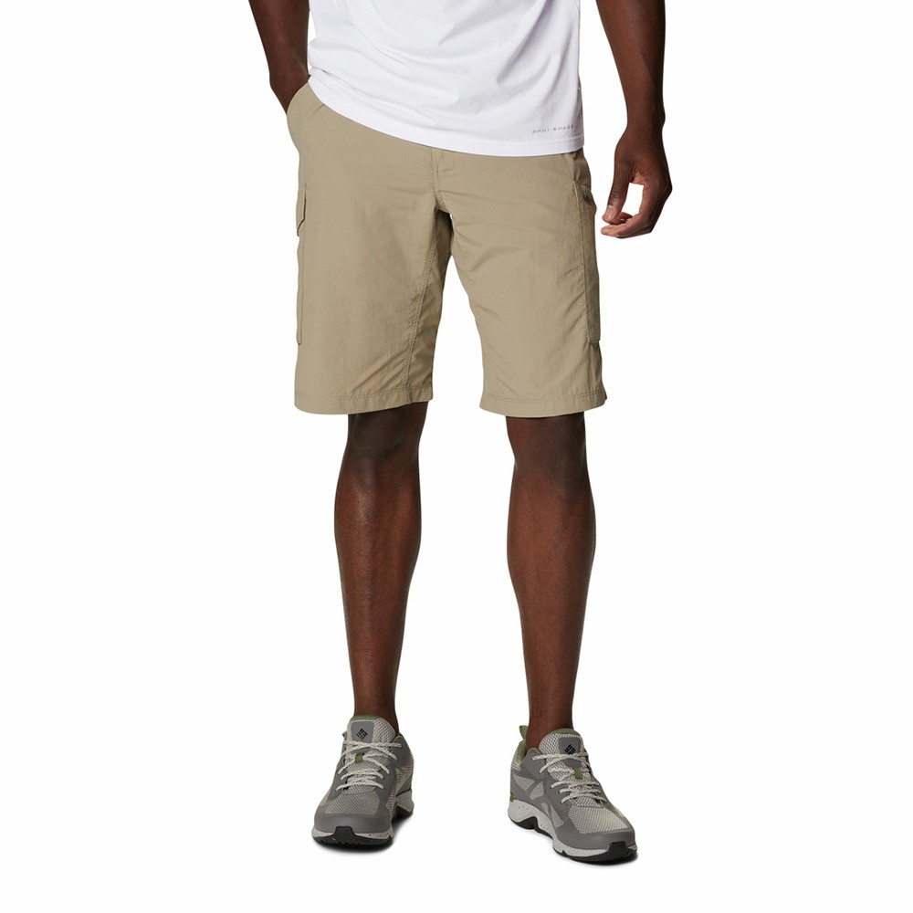 Шорты мужские Columbia Silver Ridge ™ Cargo Short бежевые 1441701-221
