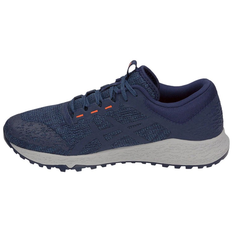Кроссовки мужские Asics ALPINE XT синие T828N-400 изображение 4