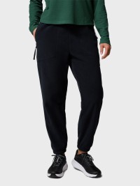 Брюки женские Columbia Sequoia Grove™ Fleece Pant черные 2136211-011 изображение 2