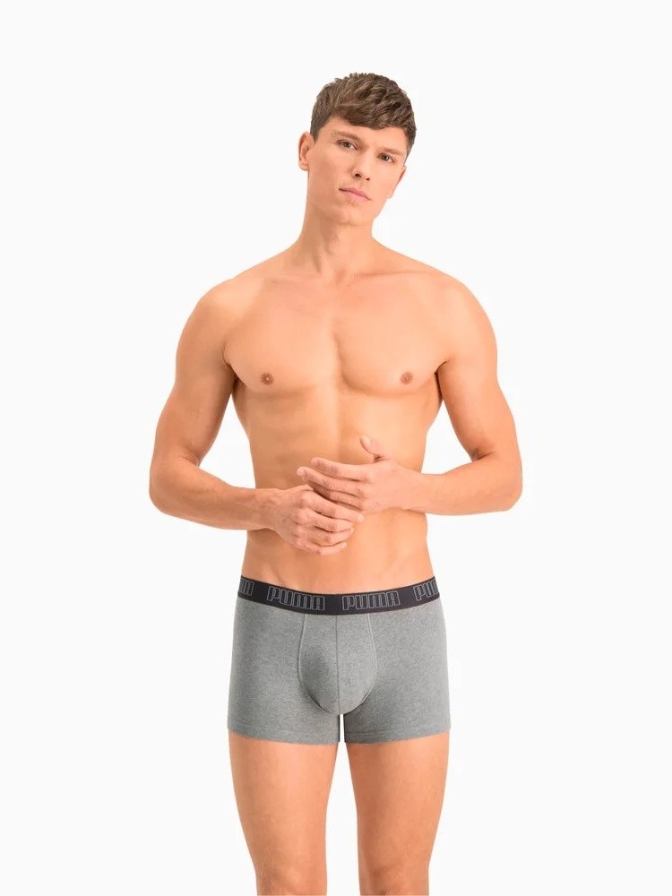 Нижнее белье мужское Puma BASIC TRUNK 2P серое 93501508 изображение 4