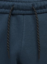 Штани чоловічі Nike M NSW AIR MAX FLC JOGGER сині HJ0857-478 изображение 4