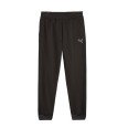 Брюки мужские Puma BETTER ESSENTIALS Sweatpants FL cl черные 67681601