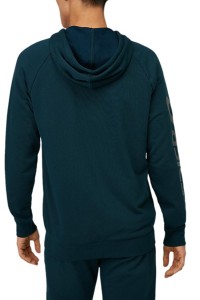 Толстовка чоловіча Asics Big Asics Fz Hoodie синя 2031A983-404  изображение 3