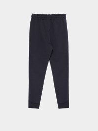 Брюки детские Radder Walde синие 442013-450 изображение 5