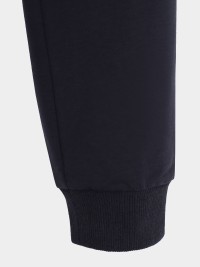 Брюки детские Radder Walde синие 442013-450 изображение 7