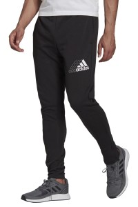 Штани чоловічі Adidas Q3 Bluv Sere Pt чорні GS4875  изображение 2