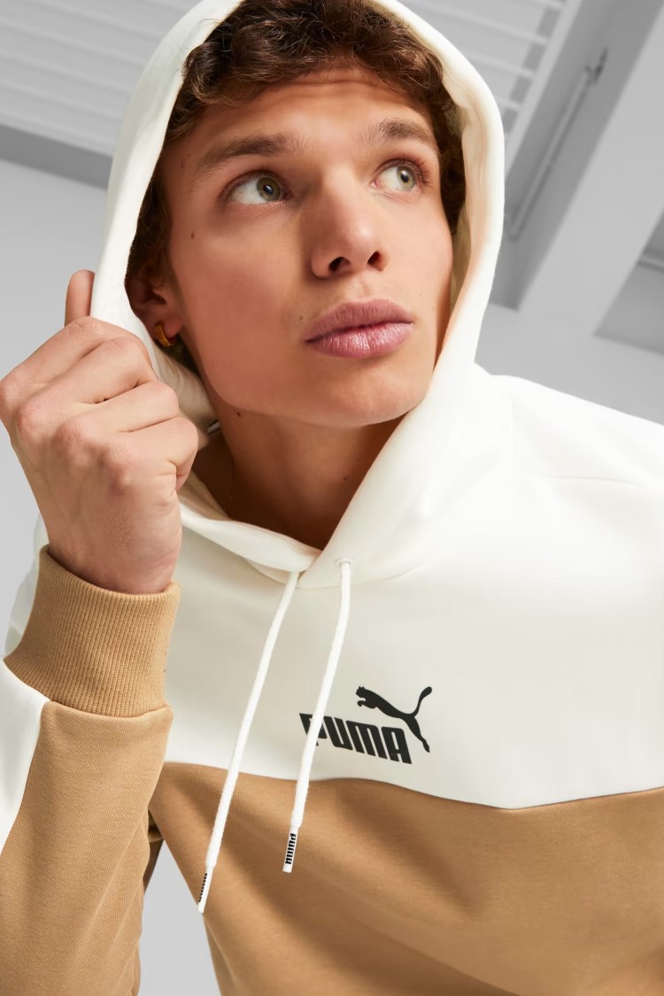Толстовка мужская Puma ESS+ Block Hoodie FL бежевая 84903685 изображение 4