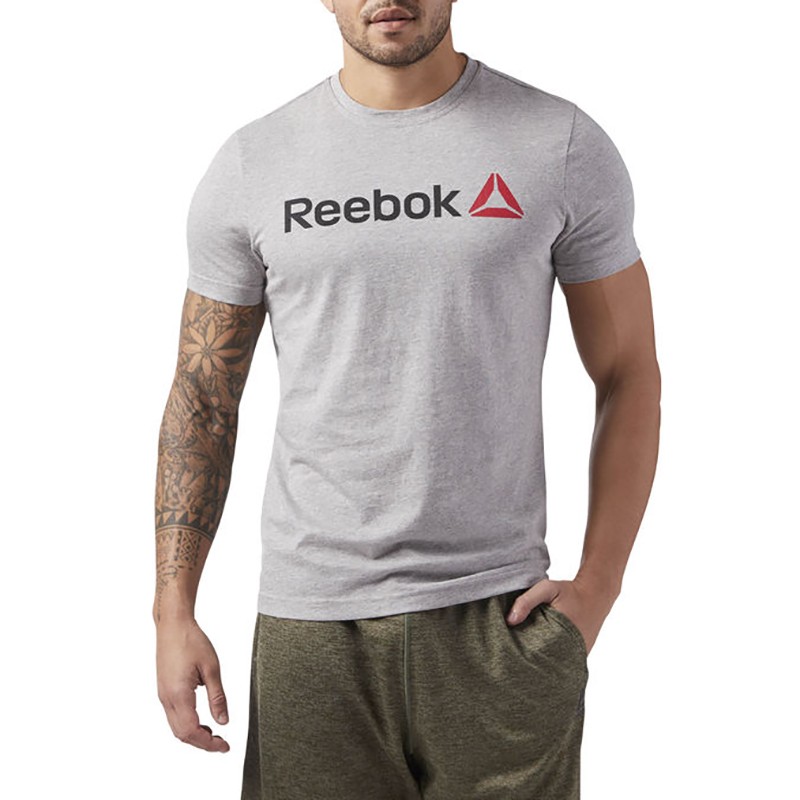 Футболка мужская Reebok LINEAR READ серая CW5375 — фото 2