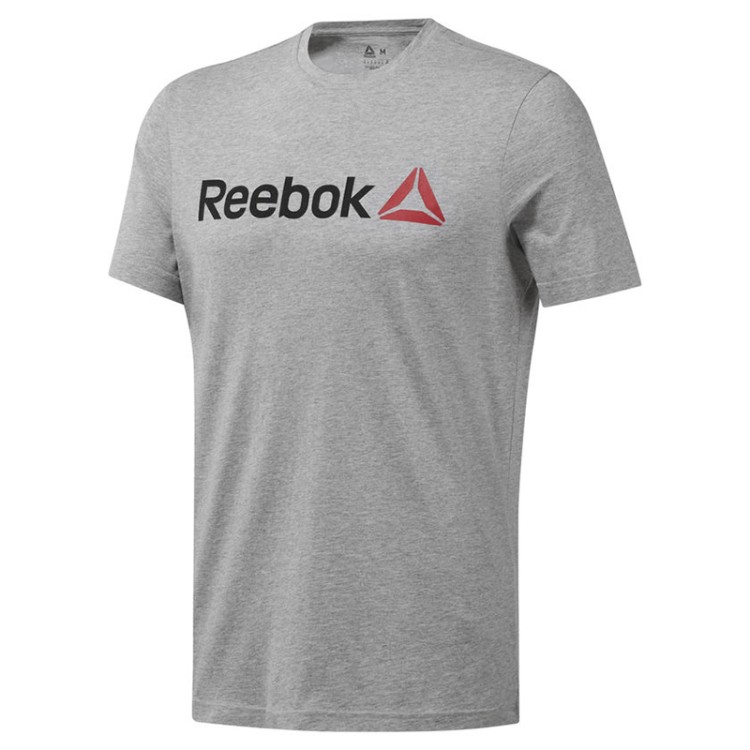 Футболка мужская Reebok LINEAR READ серая CW5375 изображение 1