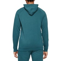 Толстовка мужская Asics Big Asics Oth Hoodie синяя 2031A984-402 изображение 2