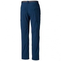 Брюки мужские Columbia Silver Ridge Cargo Pant синие 1441681-403