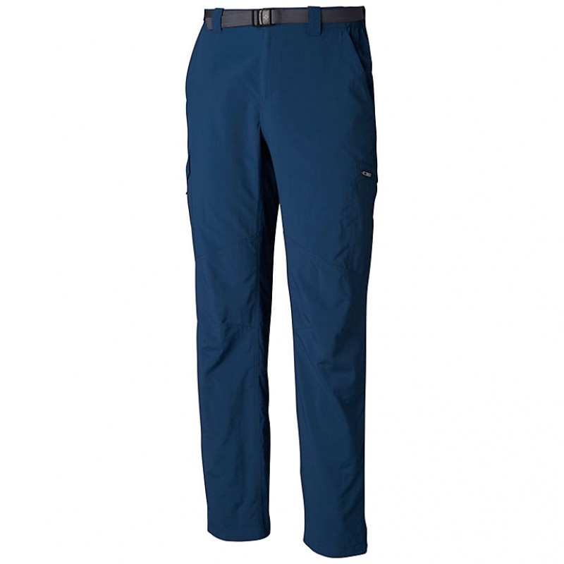 Брюки мужские Columbia Silver Ridge Cargo Pant синие 1441681-403 изображение 1