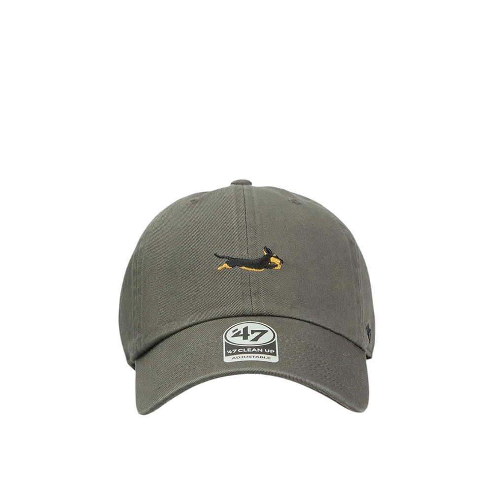 Кепка унисекс DOG BASE RUNNER ICON серая BSRIC1411GWS-CCC