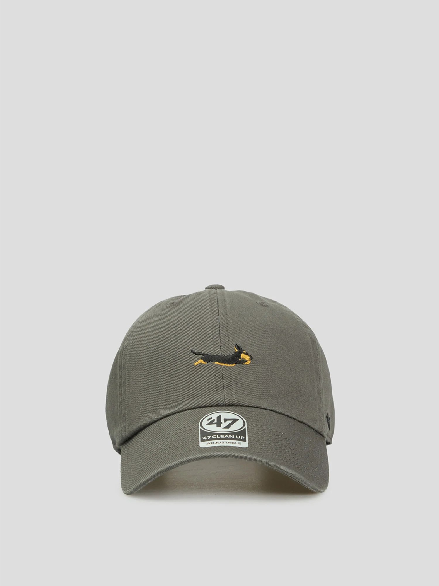 Кепка унисекс DOG BASE RUNNER ICON серая BSRIC1411GWS-CCC изображение 2