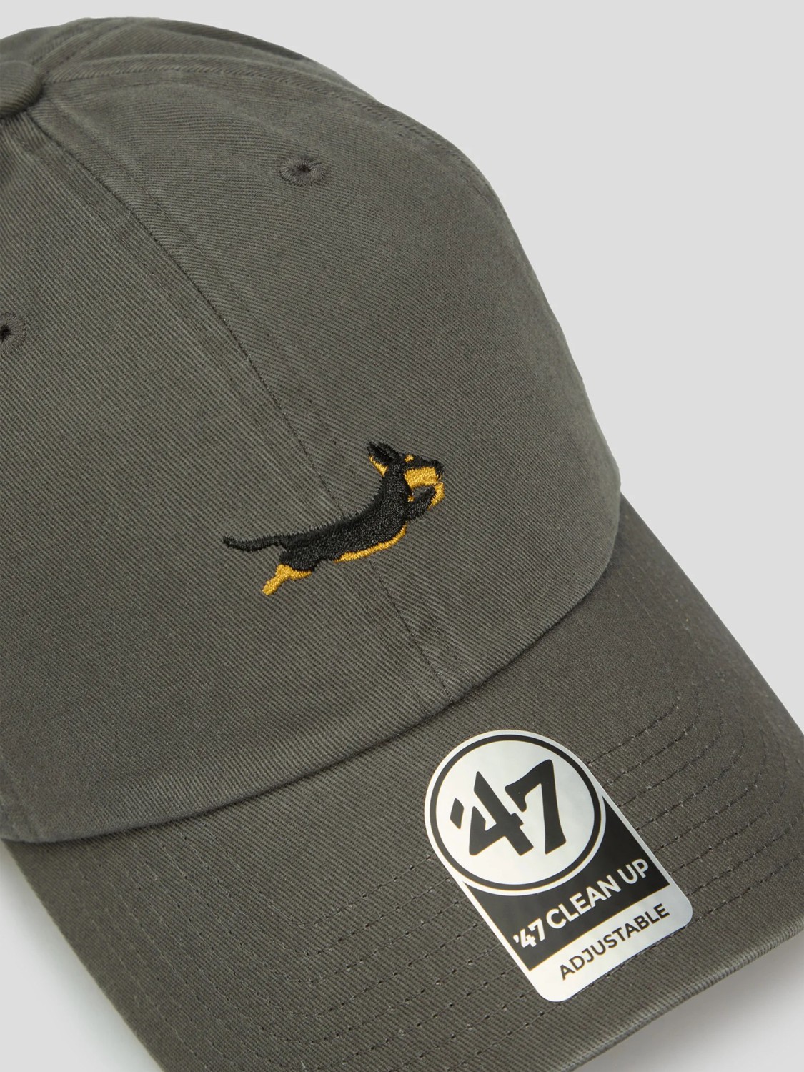 Кепка унисекс DOG BASE RUNNER ICON серая BSRIC1411GWS-CCC изображение 3