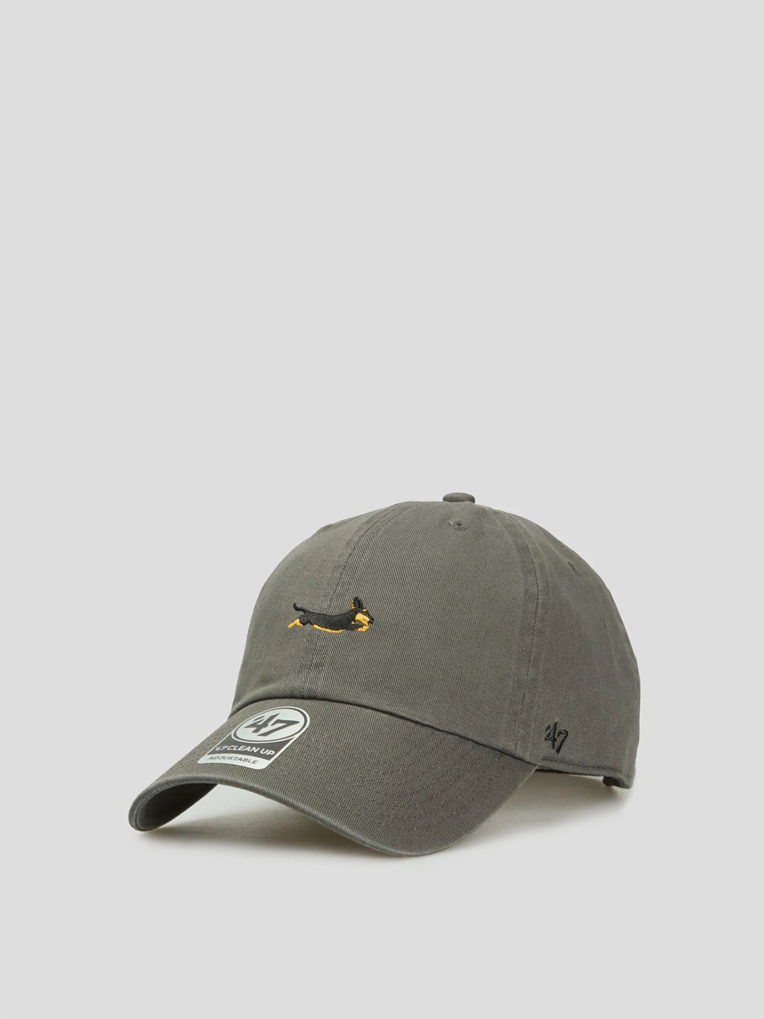 Кепка унисекс DOG BASE RUNNER ICON серая BSRIC1411GWS-CCC изображение 4