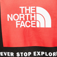 Толстовка мужская The North Face Raglan Redbox черная NF0A2ZWUJK31 изображение 5