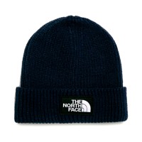 Шапка  The North Face синя NF0A3FJXL4U1 изображение 1