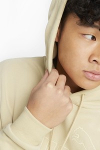 Толстовка чоловіча Puma ESS ELEVATED Hoodie бежева 67338788 изображение 3