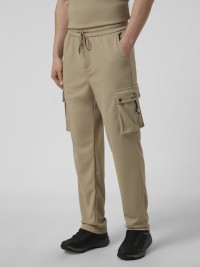 Костюм мужской Evoids Sages бежевый 482603-125 изображение 4