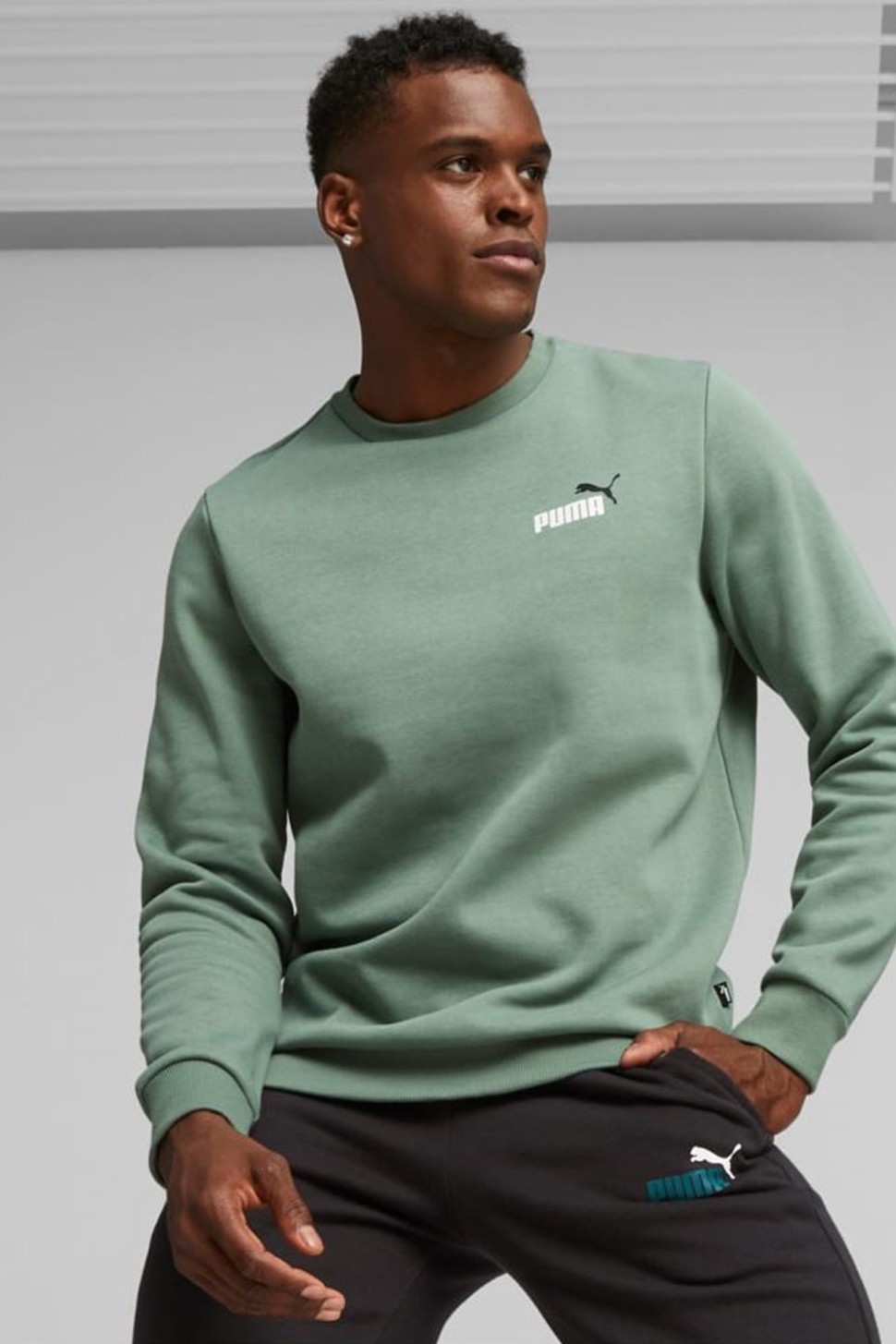 Толстовка чоловіча Puma ESS+ 2 Col Small Logo Crew FL м'ятна 67447244 — фото 2