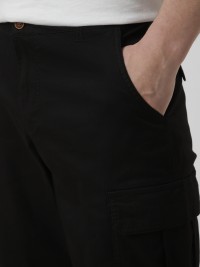 Шорти чоловічі Evoids Fern чорні 482604-010 изображение 4