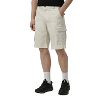 Шорти чоловічі Evoids Fern бежеві 482604-125