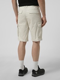 Шорты мужские Evoids Fern бежевые 482604-125 изображение 3